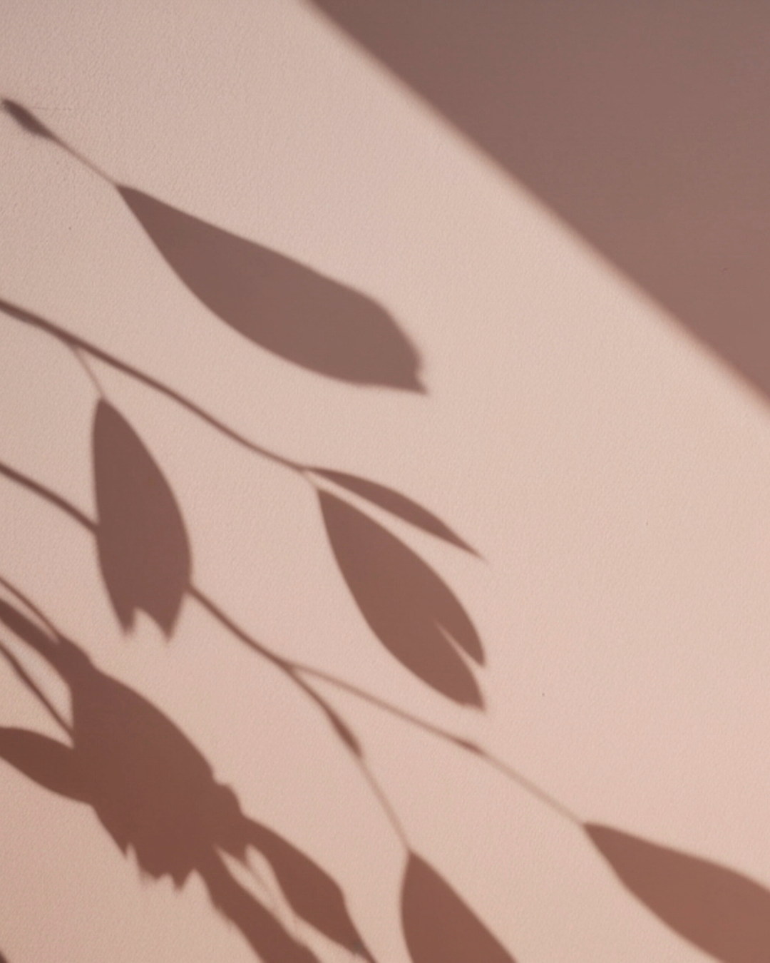 Abeli : la marque du bien-être au féminin