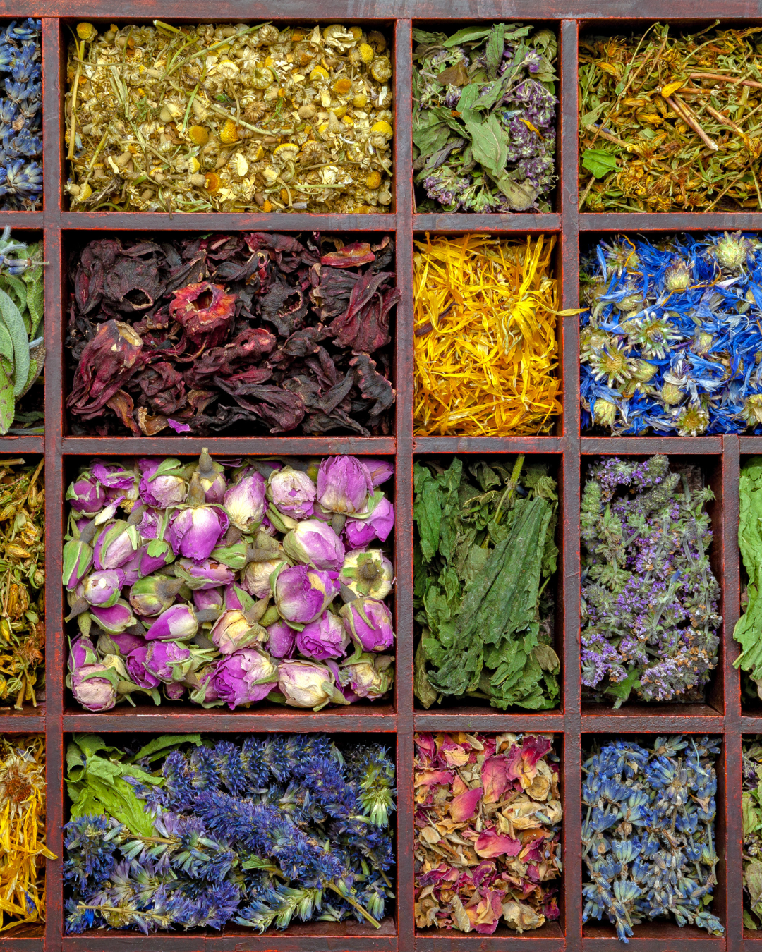 plantes séchées naturelles digestion ventre plat