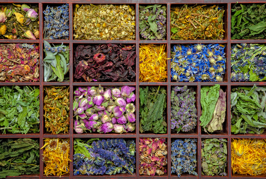 Moringa, lotus, graine de cassia et thé oolong, votre allié ventre plat