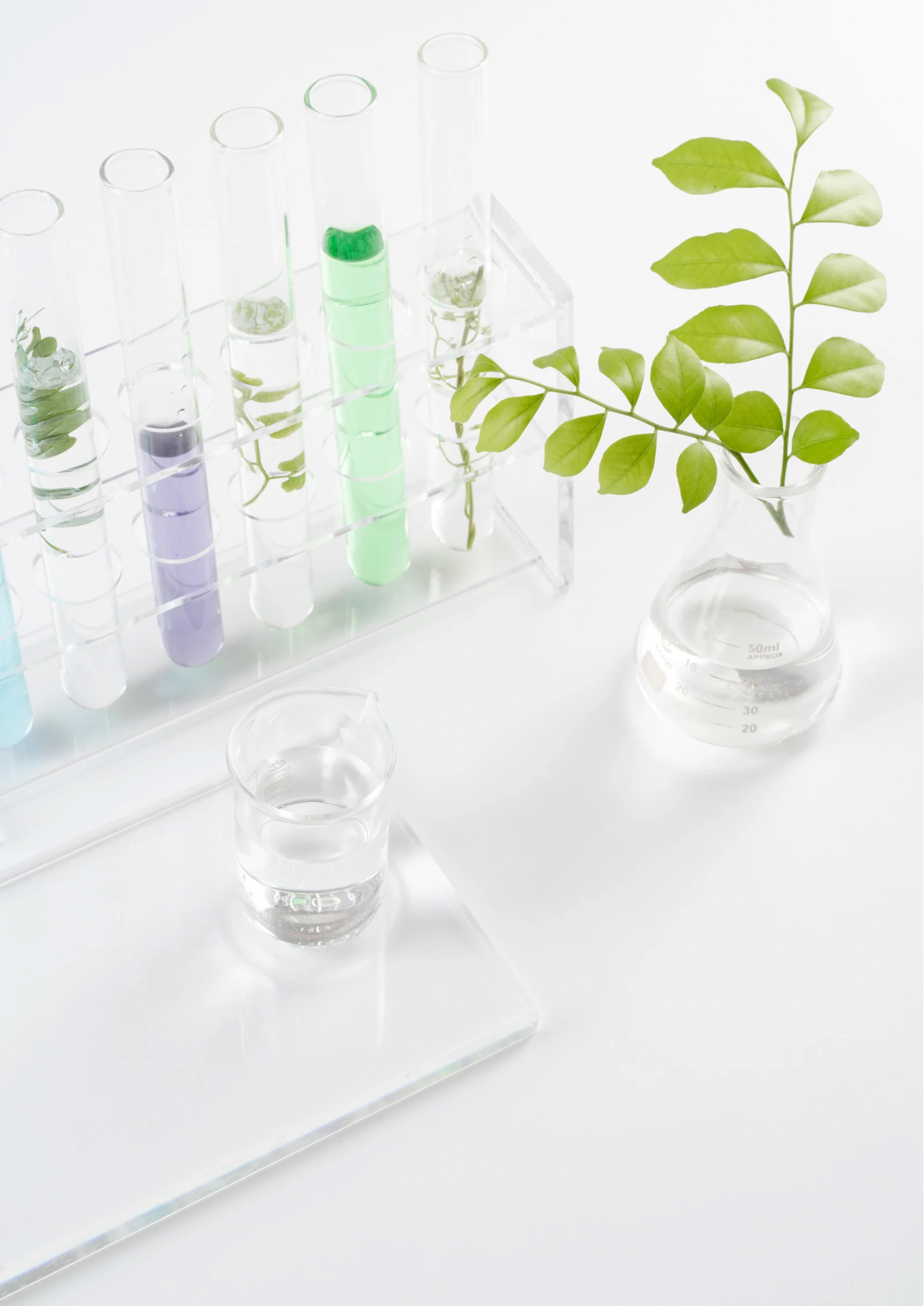 image laboratoire