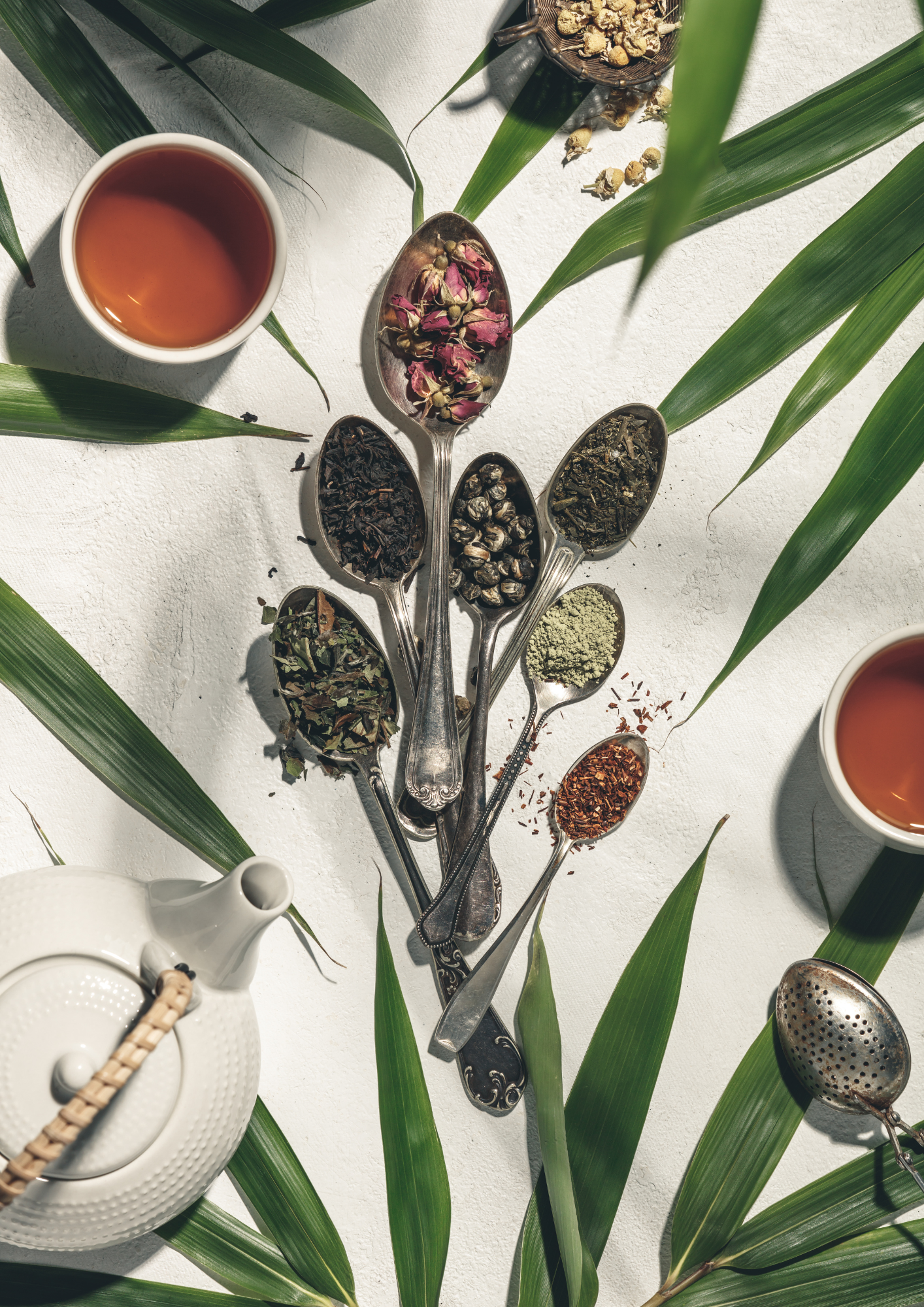 Plantes naturelles